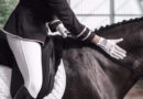 Pourquoi l’équitation est une belle illustration de l’écoute ?